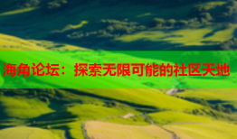 海角论坛：探索无限可能的社区天地