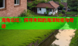 海角论坛：探寻未知的海洋秘密与奇迹