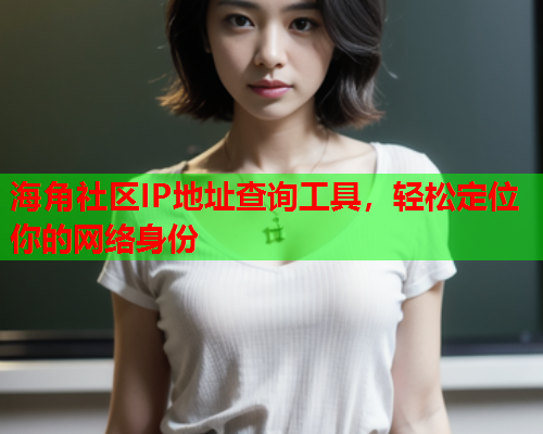 海角社区IP地址查询工具，轻松定位你的网络身份